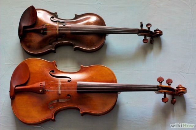 Violin or Viola
